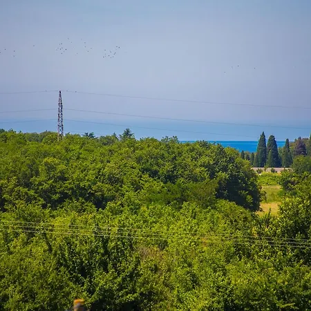 Garbina Гостьовий будинок Vrvari